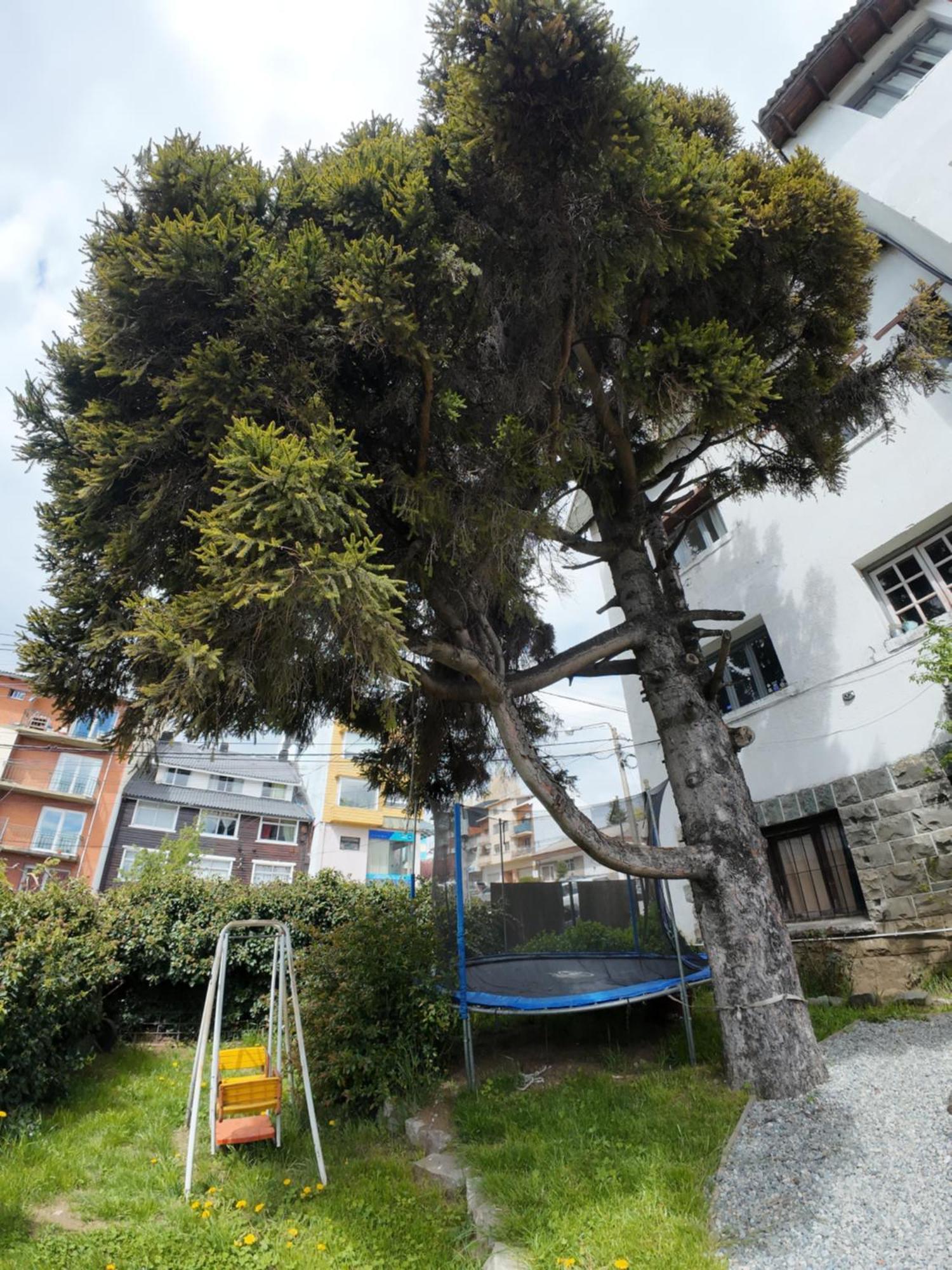Temiscira Hostel San Carlos de Bariloche Eksteriør bilde