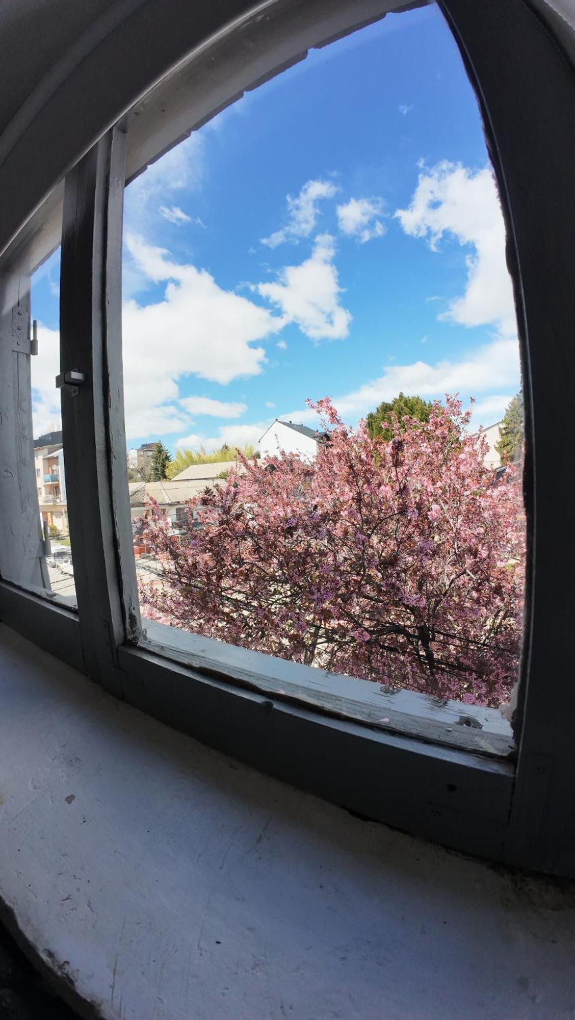 Temiscira Hostel San Carlos de Bariloche Eksteriør bilde